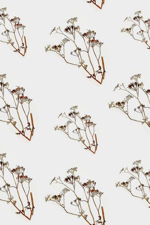 树枝印花华亿平台图片