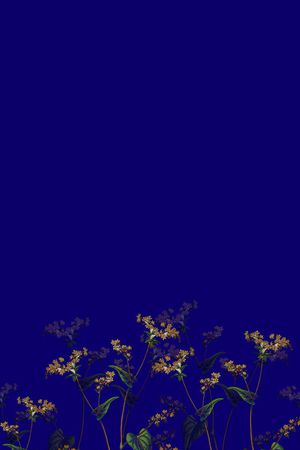 大花印花华亿平台图片