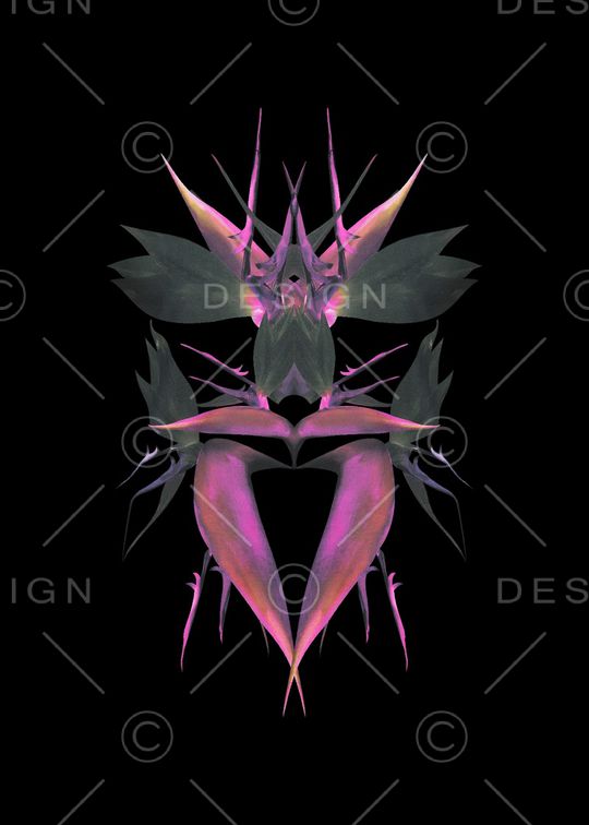 衬衫印花华亿平台图片