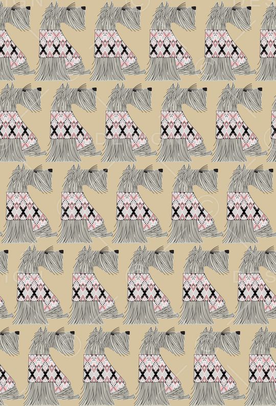 女装印花华亿平台图片