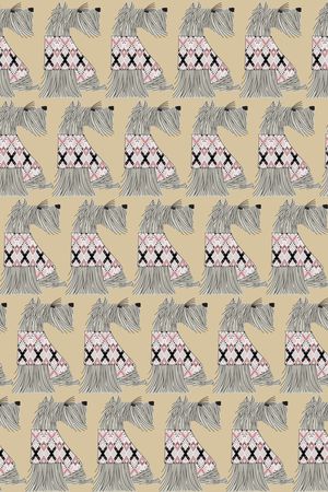 女装印花华亿平台图片