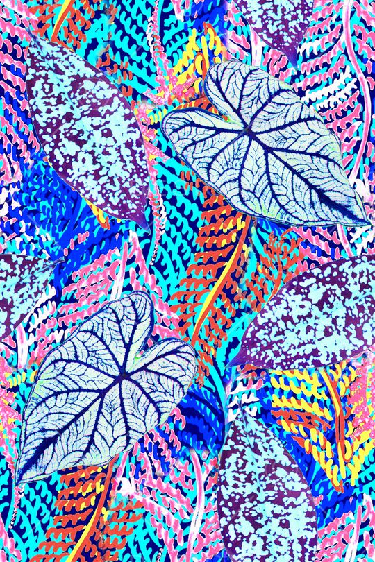 肌理印花华亿平台图片