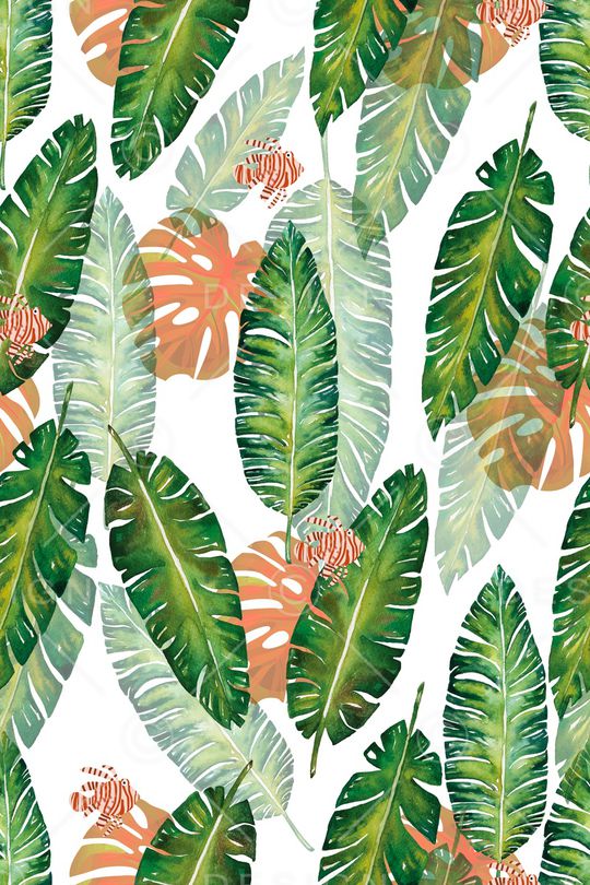 动物花卉印花华亿平台图片