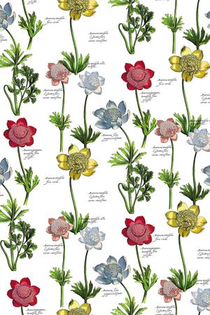 手绘花卉印花华亿平台图片