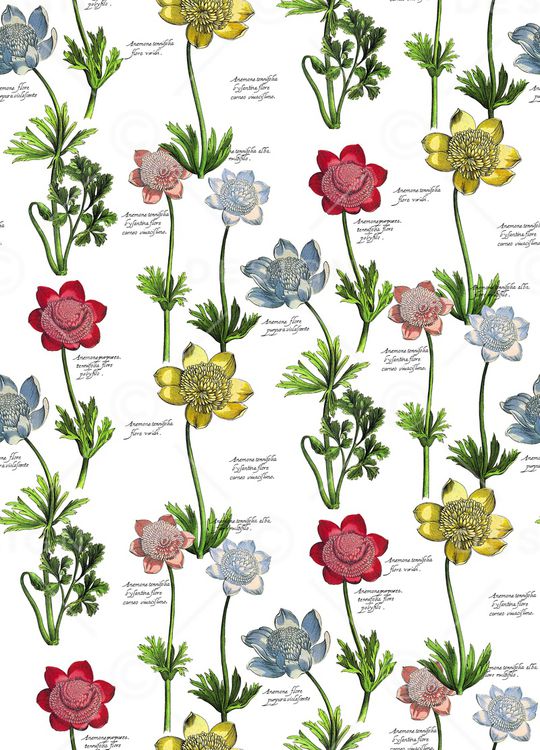 手绘花卉印花华亿平台图片