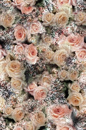 数码华亿平台印花华亿平台图片