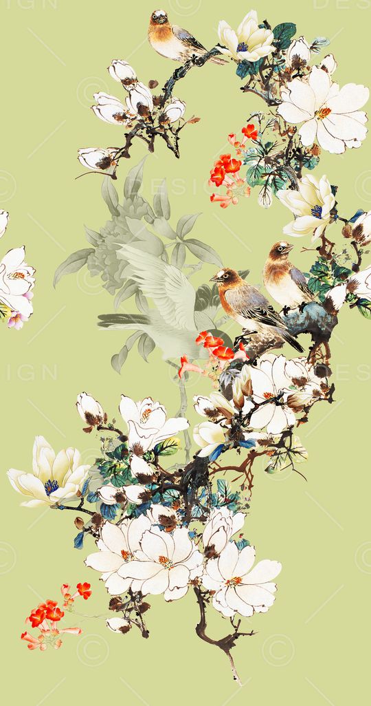 女装印花华亿平台图片