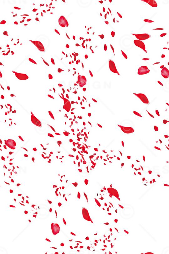 花瓣印花华亿平台图片