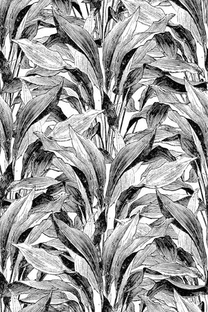 洋阳---花卉印花华亿平台图片