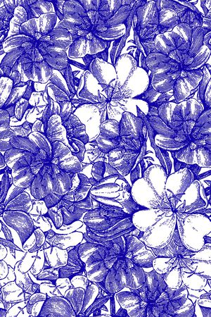 洋阳---花卉印花华亿平台图片