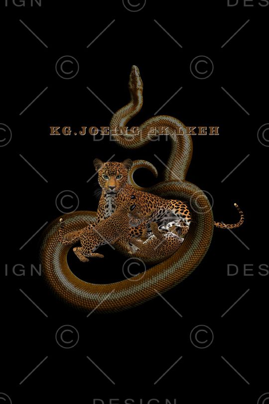 卡通印花华亿平台图片