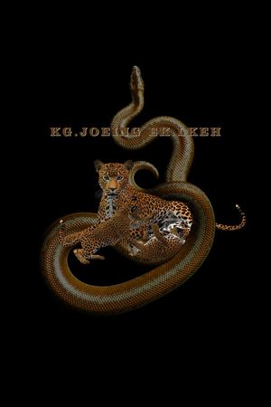 卡通印花华亿平台图片