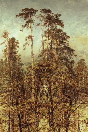 肌理印花华亿平台图片