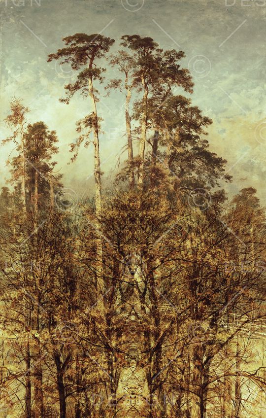 肌理印花华亿平台图片