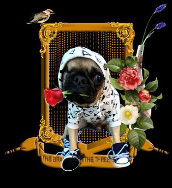 衬衫印花华亿平台图片