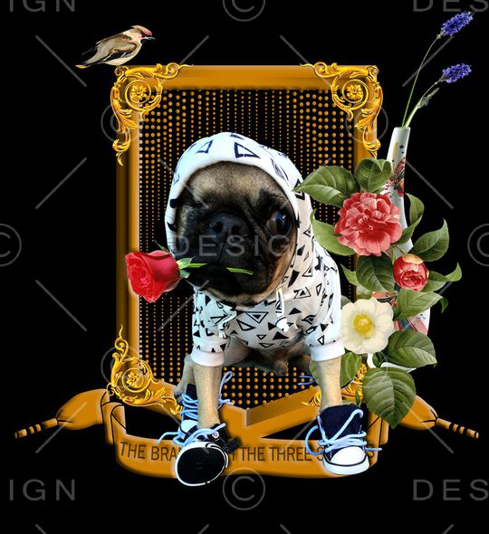 衬衫印花华亿平台图片