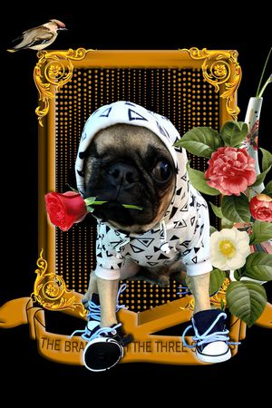 衬衫印花华亿平台图片