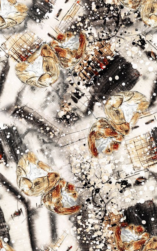 数码华亿平台印花华亿平台图片