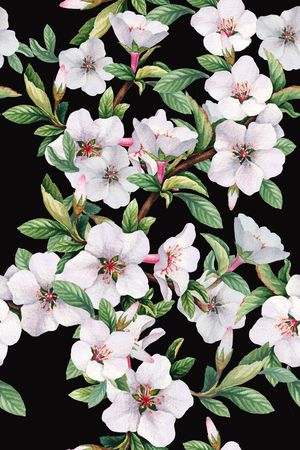 田园印花华亿平台图片