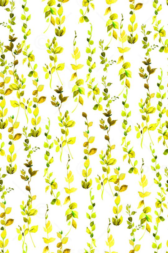 春夏华亿平台印花华亿平台图片