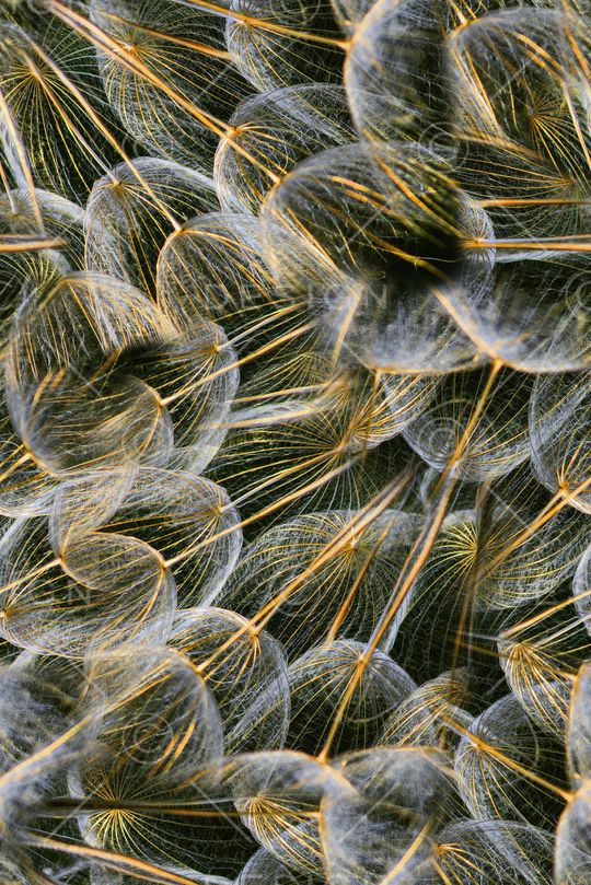 定位花印花华亿平台图片