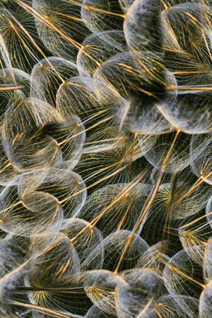 定位花印花华亿平台图片