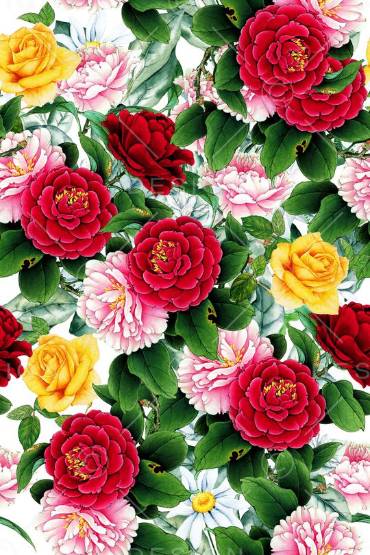 大花印花华亿平台图片