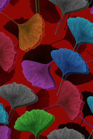 女装印花华亿平台图片