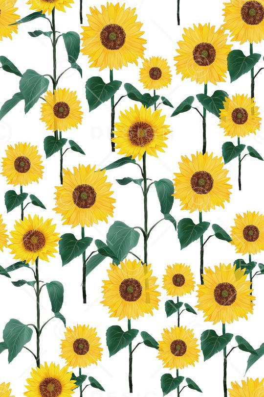 大花印花华亿平台图片