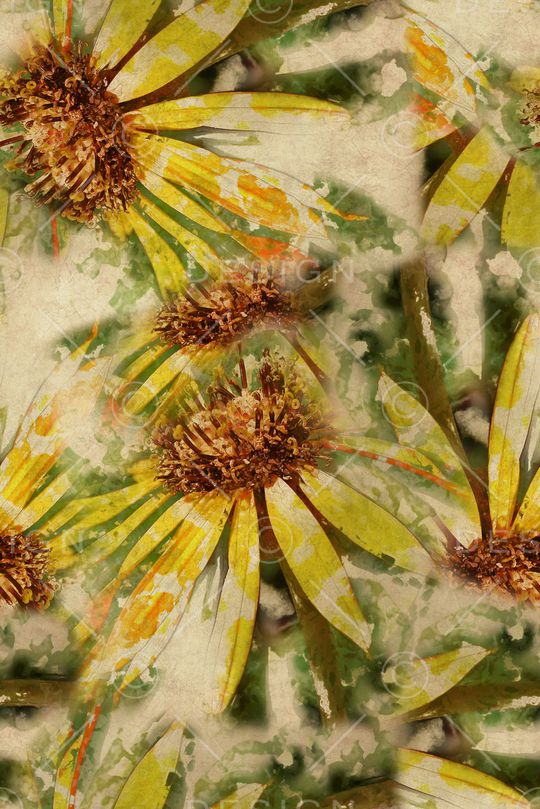 植物印花华亿平台图片