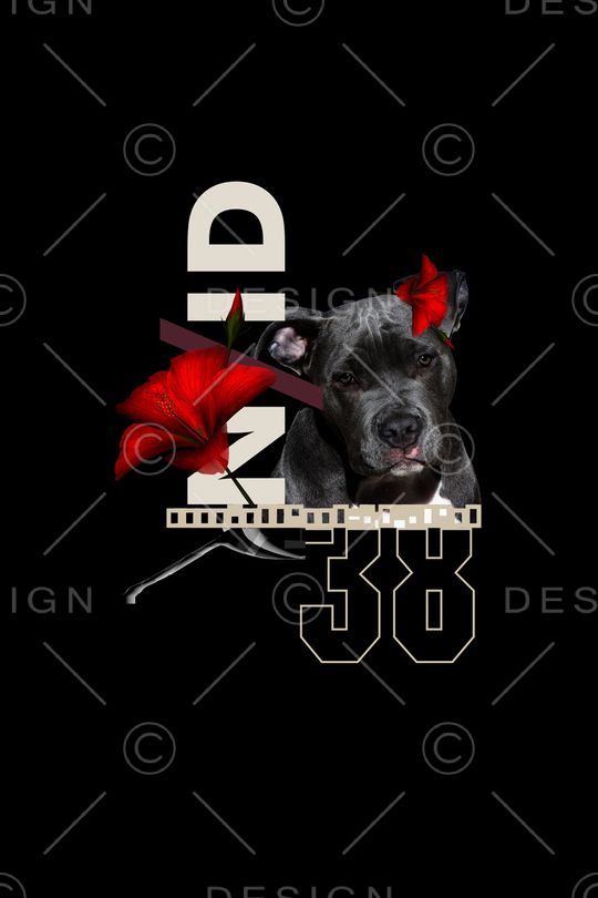 卡通印花华亿平台图片