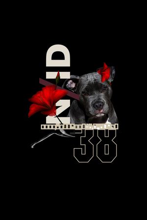 卡通印花华亿平台图片