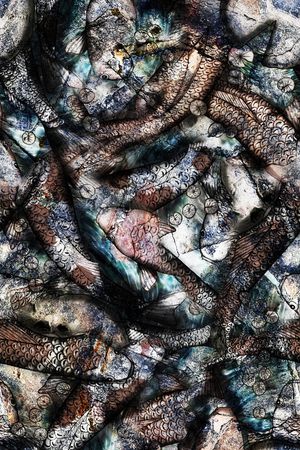 数码华亿平台印花华亿平台图片