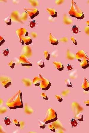 花瓣印花华亿平台图片