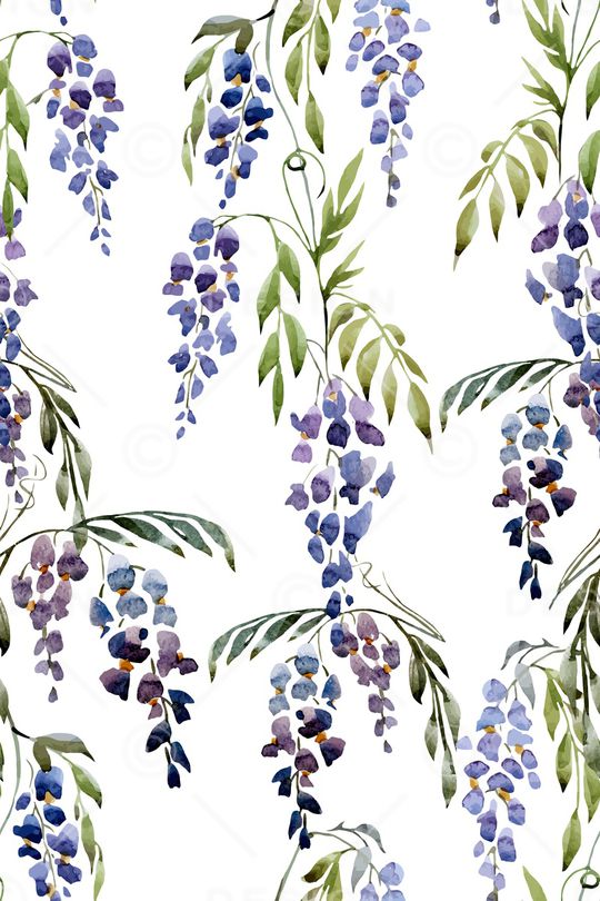 淑女印花华亿平台图片