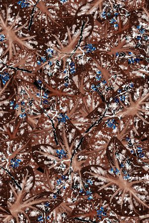 数码华亿平台印花华亿平台图片