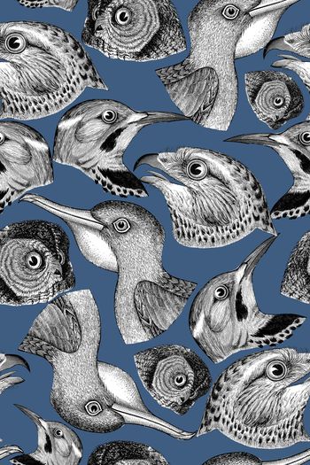 动物印花华亿平台图片