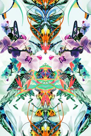 数码华亿平台印花华亿平台图片