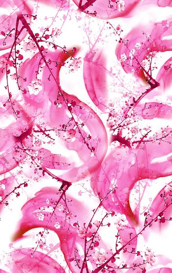 1020911-20180301-1017-1