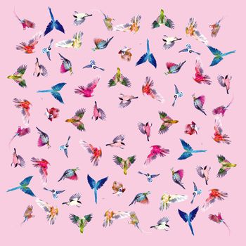 1020998-20180301-1742