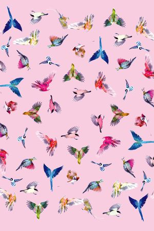 鸟印花华亿平台图片