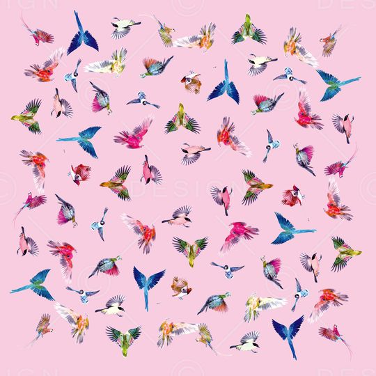 鸟印花华亿平台图片