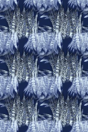 热带海滨度假印花华亿平台图片