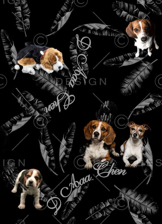 大牌风印花华亿平台图片