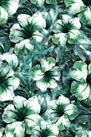 数码华亿平台印花华亿平台图片