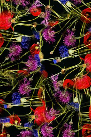 数码华亿平台印花华亿平台图片