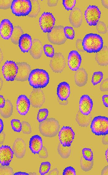 1022280-20180302-1258-1