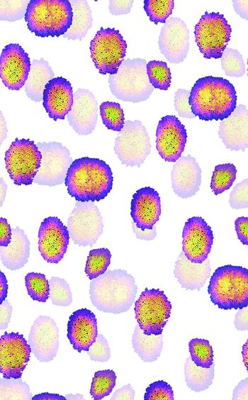 1022281-20180302-1258-2