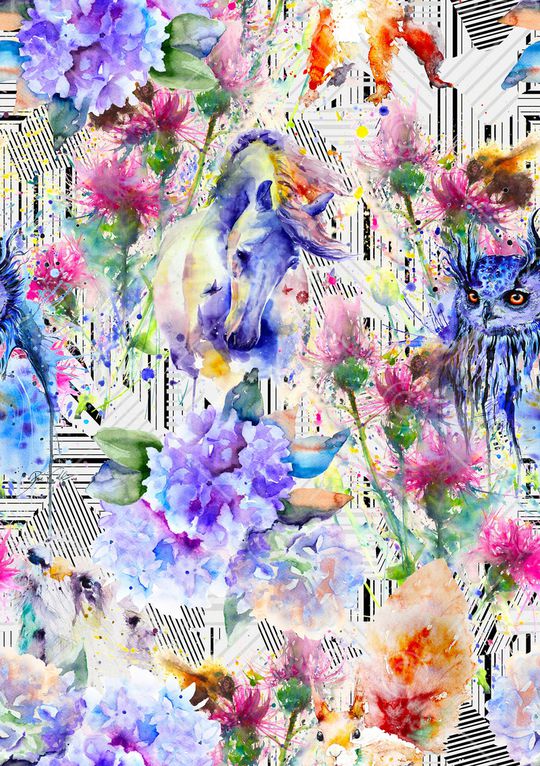 猫头鹰印花华亿平台图片