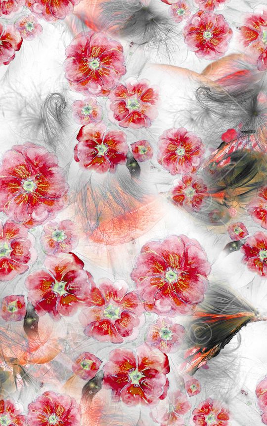 数码华亿平台印花华亿平台图片